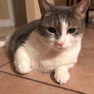 Meet your Posher, Desiree